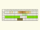  Life stages table Copyright Martin Evans 