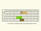  Life stages table Copyright Martin Evans 