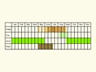  Life stages table Copyright Martin Evans 