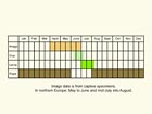  Life stages table Copyright Martin Evans 