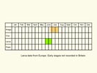  Life stages table Copyright Martin Evans 