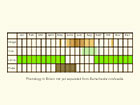  Life stages table Copyright Martin Evans 