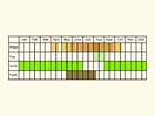 Life stages table Copyright Martin Evans 