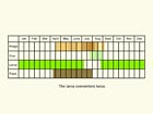  Life stages table Copyright Martin Evans 