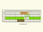  Life stages table Copyright Martin Evans 