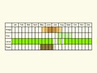  Life stages table Copyright Martin Evans 