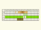  Life stages table Copyright Martin Evans 