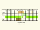  Life stages table Copyright Martin Evans 
