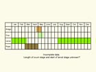  Life stages table Copyright Martin Evans 