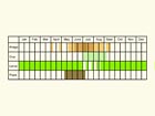  Life stages table Copyright Martin Evans 