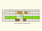  Life stages table Copyright Martin Evans 