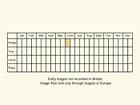  Life stages table Copyright Martin Evans 