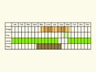  Life stages table Copyright Martin Evans 