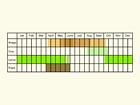  Life stages table Copyright Martin Evans 