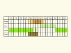  Life stages table Copyright Martin Evans 