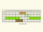  Life stages table Copyright Martin Evans 