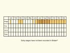  Life stages table Copyright Martin Evans 