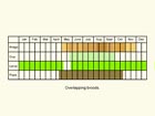  Life stages table Copyright Martin Evans 