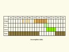  Life stages table Copyright Martin Evans 