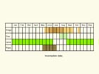  Life stages table Copyright Martin Evans 