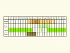  Life stages table Copyright Martin Evans 