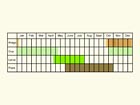  Life stages table Copyright Martin Evans 