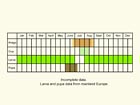  Life stages table Copyright Martin Evans 