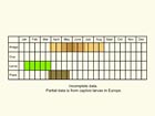  Life stages table Copyright Martin Evans 