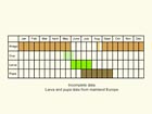 Life stages table Copyright Martin Evans 
