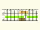  Life stages table Copyright Martin Evans 