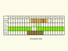  Life stages table Copyright Martin Evans 