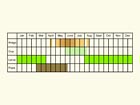  Life stages table Copyright Martin Evans 