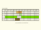  Life stages table Copyright Martin Evans 