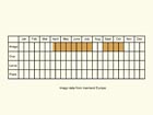  Life stages table Copyright Martin Evans 