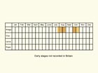  Life stages table Copyright Martin Evans 