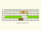  Life stages table Copyright Martin Evans 