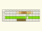  Life stages table Copyright Martin Evans 