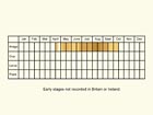  Life stages table Copyright Martin Evans 