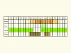  Life stages table Copyright Martin Evans 