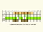  Life stages table Copyright Martin Evans 
