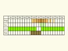  Life stages table Copyright Martin Evans 
