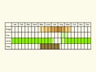  Life stages table Copyright Martin Evans 