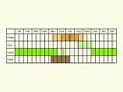  Life stages table Copyright Martin Evans 