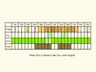  Life stages table Copyright Martin Evans 
