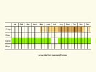  Life stages table Copyright Martin Evans 