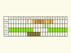  Life stages table Copyright Martin Evans 