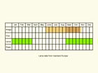  Life stages table Copyright Martin Evans 