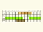  Life stages table Copyright Martin Evans 