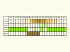  Life stages table Copyright Martin Evans 