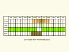  Life stages table Copyright Martin Evans 